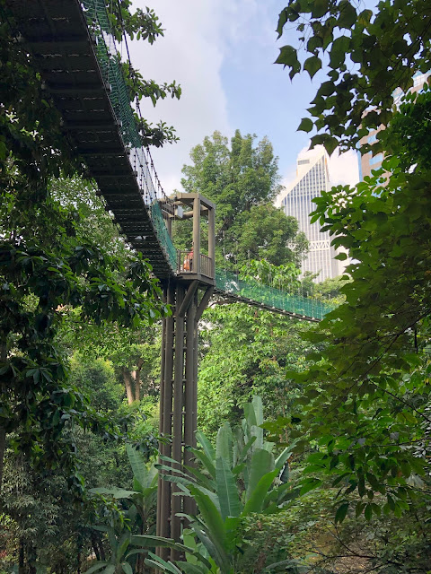 tree top walk