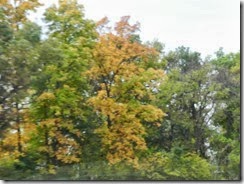DSCN1248