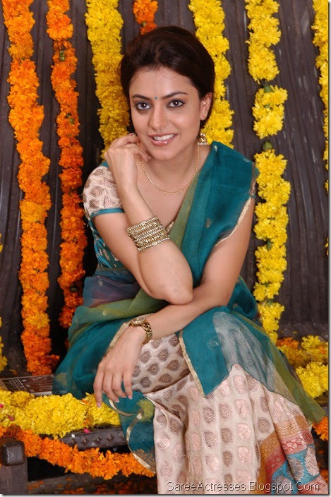Nisha Agarwal Hot in Green Saree Pics 1