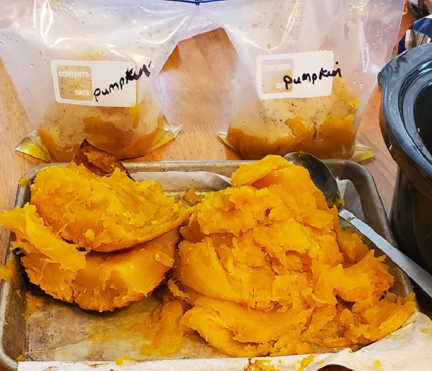 roasted pumpkin in freezer bags