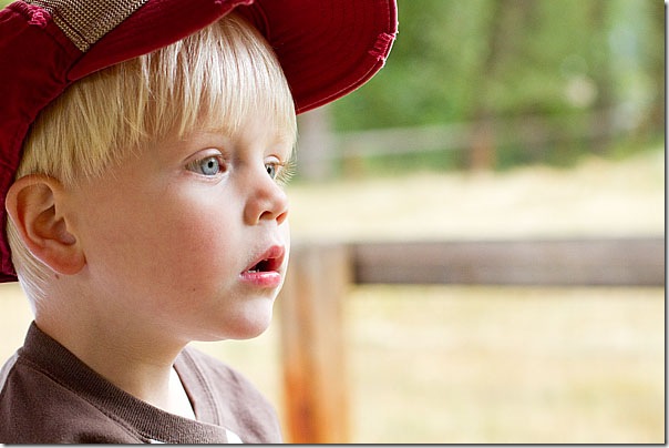 08 19 10_Grammie&Papas_0679