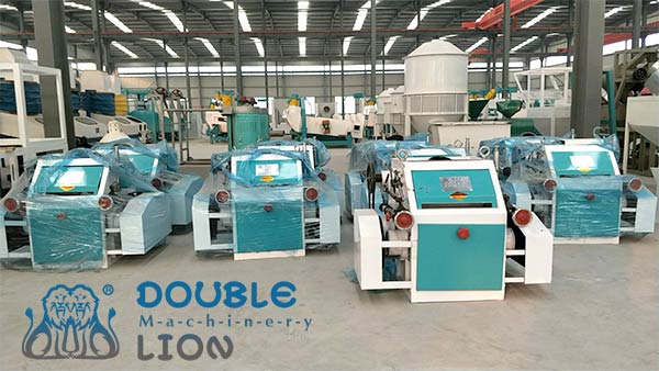 10TPD Stone Groundflour Mill Plant and 40TPD flour mill plant delivered-zhengzhou double-lion