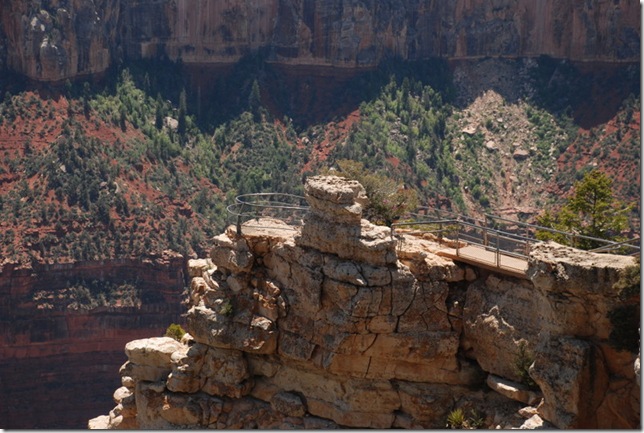 05-16-13 D Grand Canyon North Rim (9)