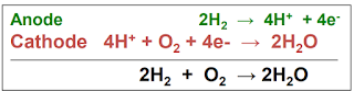 hydrogen fuel cell