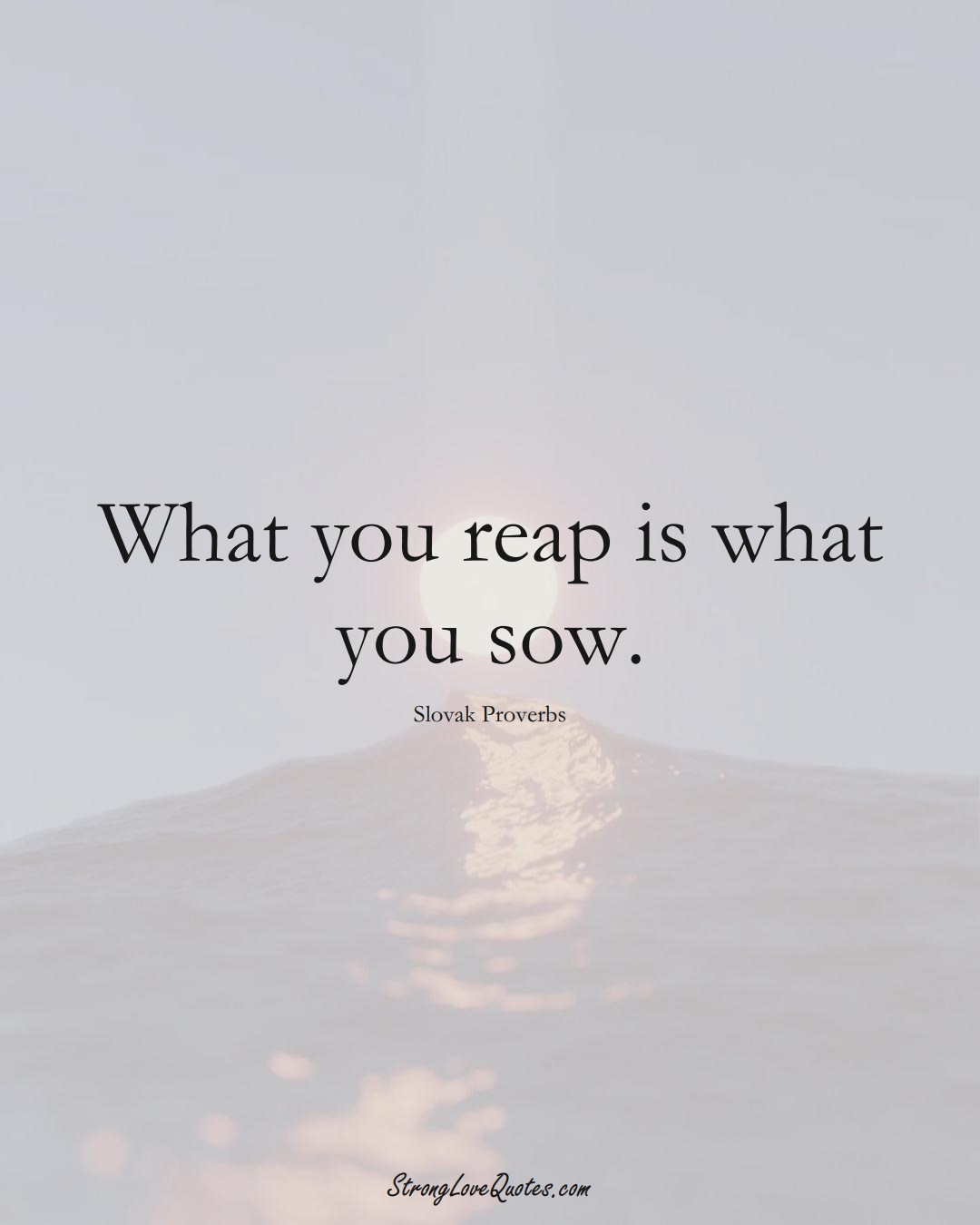 What you reap is what you sow. (Slovak Sayings);  #EuropeanSayings