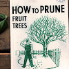 How To Prune Fruit Trees Book : Obstgeholze Der Kosmos Schnittkurs Garden Practice Gardening Illustrated Non Fiction Books Kosmos Foreign Rights : You can also purchase this book from a vendor and ship it to our address: