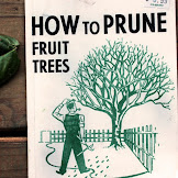 How To Prune Fruit Trees Book : Obstgeholze Der Kosmos Schnittkurs Garden Practice Gardening Illustrated Non Fiction Books Kosmos Foreign Rights : You can also purchase this book from a vendor and ship it to our address: