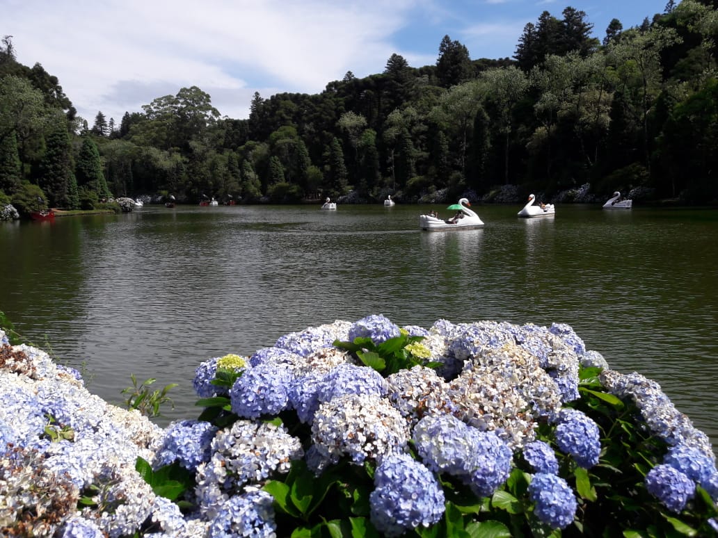 Gramado