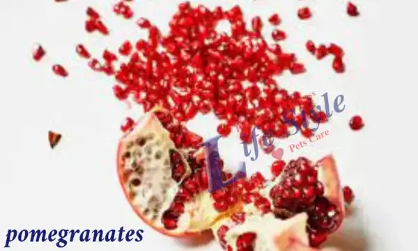 pomegranates for anti-aging, diabetes, skincare, atherosclerosis and cardiovascular