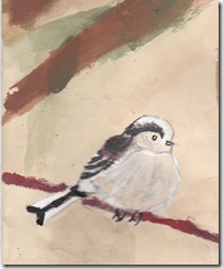 Long-tailed Tit by Tom