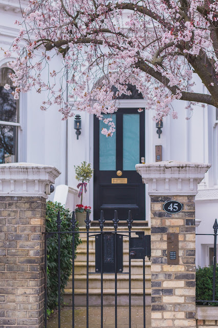 45 Argyll Rd, London in blossom