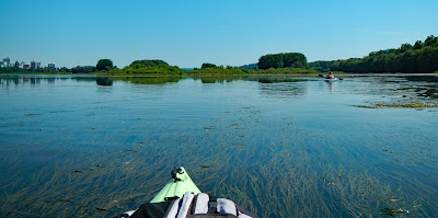 Kayak in low water where underwater grasses are seen.