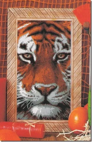 tigre (2) 1