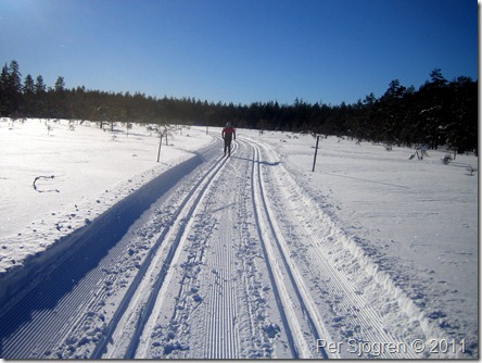 Lasse glider fram i solskenet