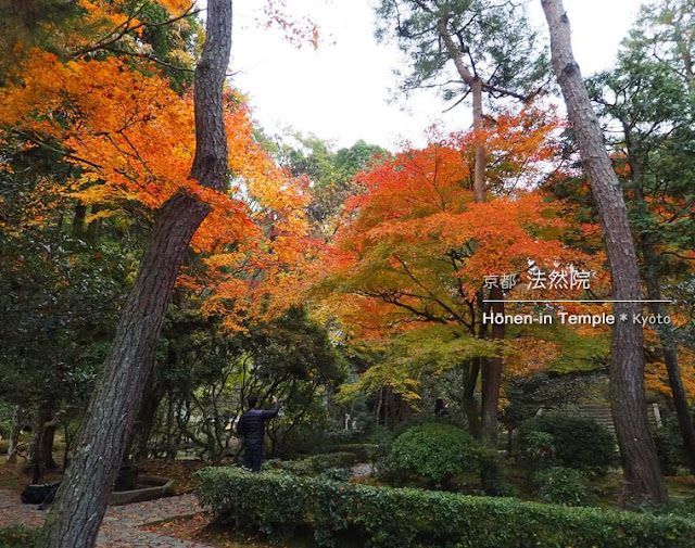 [京都] 法然院の紅葉