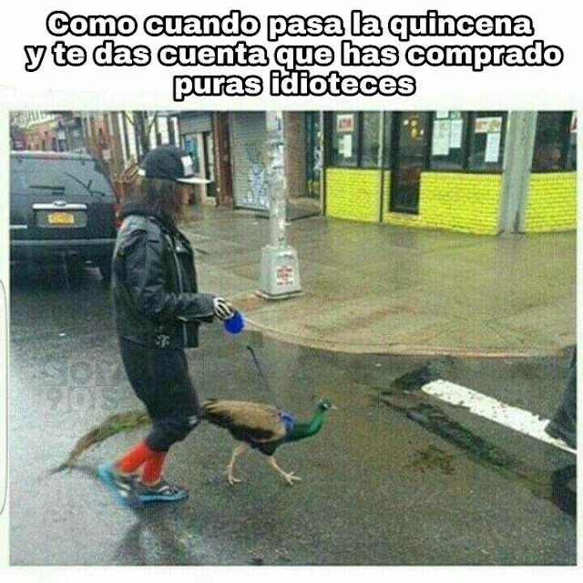 Cuando pasa la quincena y compras cualquier cosa