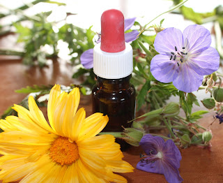 how to safely administer herbal ear drops and ear flushes, cleansers