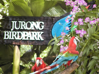 tempat wisata di singapore untuk anak, kebung binatang, taman burung,