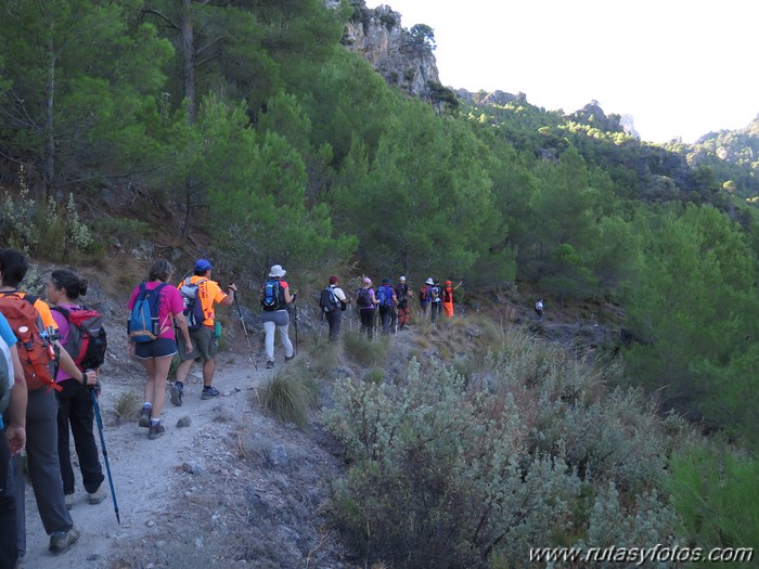 Area recreativa los Sauces - Peñón de Ronda