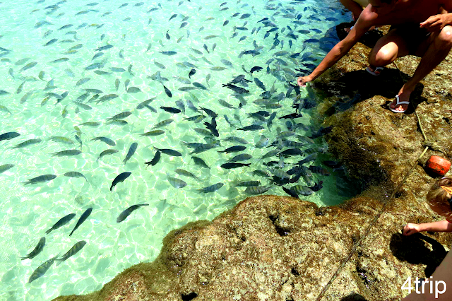 PORTO DE GALINHAS