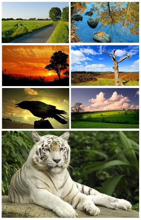 animated wallpapers of nature. Nature Wallpapers Pack