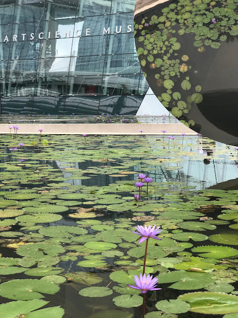 Lily Pond at ArtScience Museum