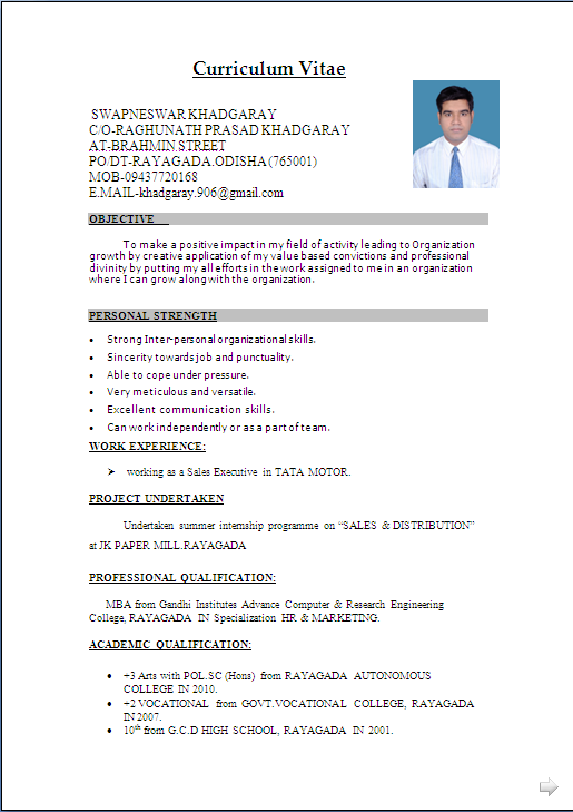 PDF Presentation Of Resume