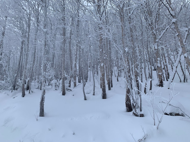 Sentier pour Joseph-Alphonse-Pelletier