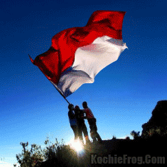 DP BBM Bendera Indonesia Bergerak  Merah Putih Kochie  Frog 