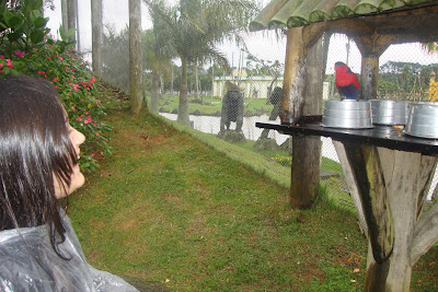 Animais do Beto Carrero World