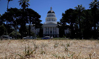 The lawn in front of the California State Capitol is seen dead on June 18, 2014 in Sacramento, California. Due to the California drought - intensified by global warming - the grounds at the California State Capitol are under a reduced watering program and groundskeepers have let sections of the lawn die off in an effort to use less water. (Photograph Credit: Justin Sullivan/Getty Images) Click to Enlarge.