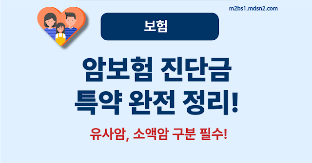 암보험 제대로 고르는 법 – 진단금, 특약 꼭 체크!