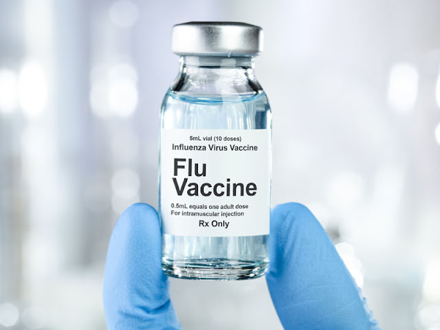 Influenza Vaccines Market