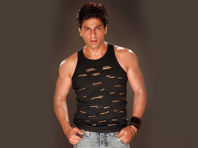 Shahrukh Khan Normal Resolution HD Wallpaper 9