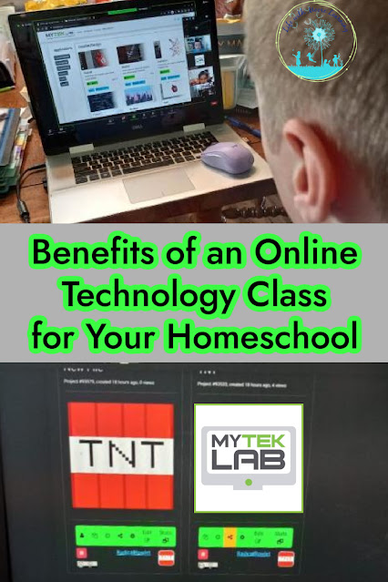 Why Your Homeschool Student Needs an Online Technology Class