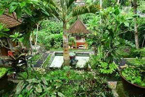 hotelpalingmurahdibali.blogspot.com