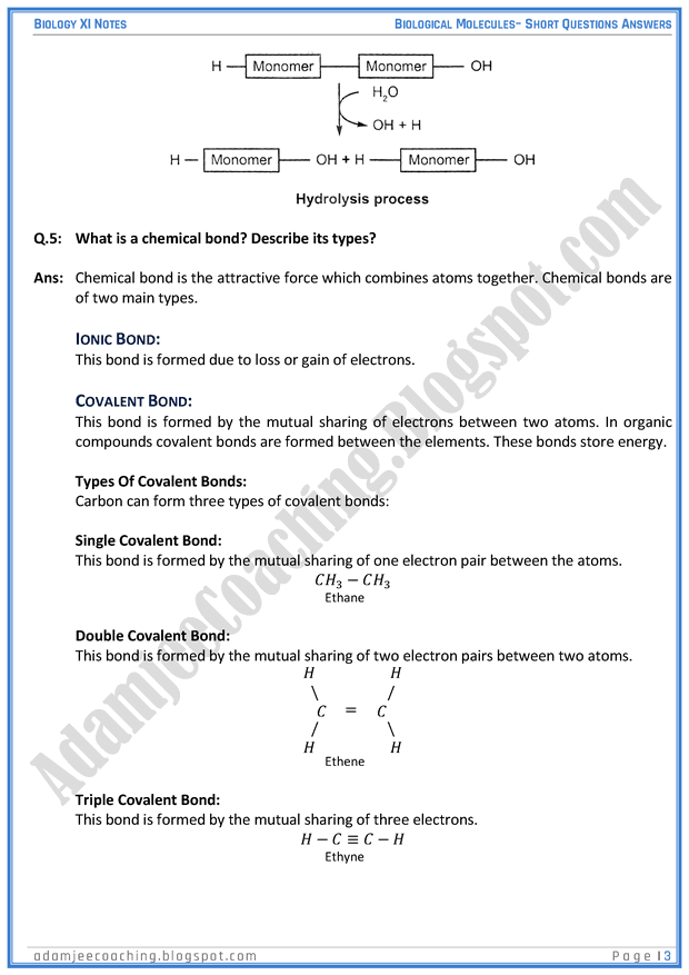 biological-molecules-short-question-answers-biology-11th