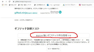 ギフテッド診断テスト。結果は強いギフテッド的な性格である、でした。