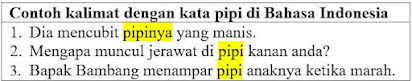 23 Contoh kalimat pipi di bahasa Indonesia dan Pengertiannya