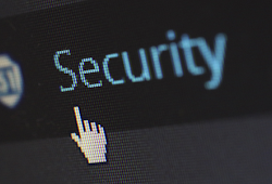 The Importance of Cyber Education in College