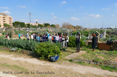 grupo de alumnos en huerto escolar del ampa colegio bonavista alaquas