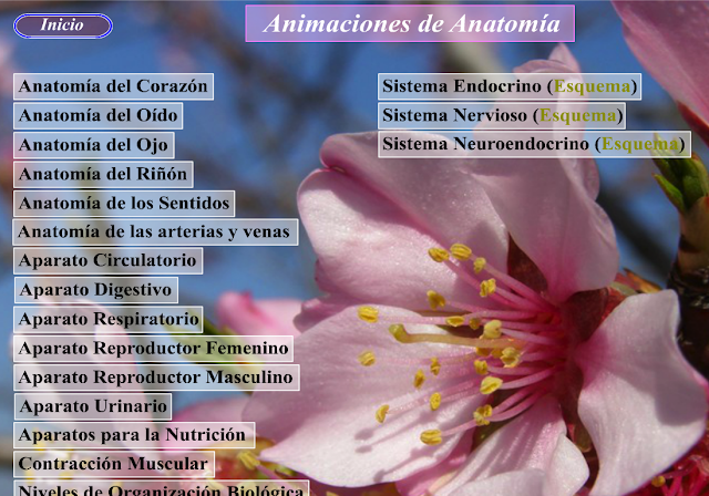 http://cienciasnaturales.es/ANIMACIONESBIOLOGIA.swf