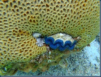 PB020773
