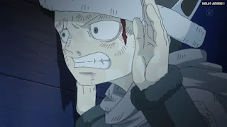 ワンピースアニメ ドレスローザ編 706話 トラファルガー・ロー 幼少期 CV.神谷浩史 Trafalgar Law | ONE PIECE Episode 706