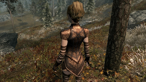 Custom armor for The Elder Scrolls V Skyrim