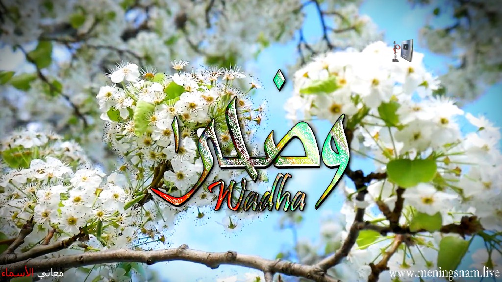 معنى اسم, وضحى, وصفات حاملة, هذا الاسم, Wadha,