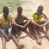 3 arrested for alleged raping of 14-yr-old girl in Edo