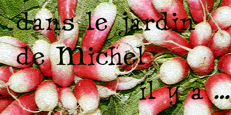 dans le jardin de michel il y a .....