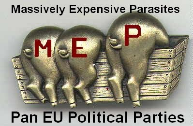 Pan EU Political Parties