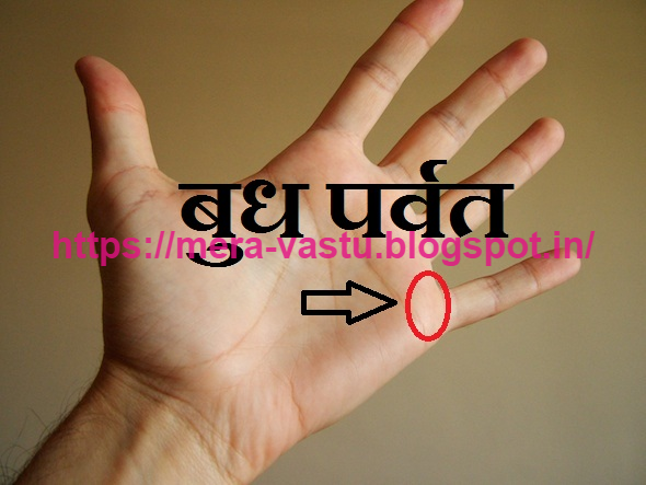 Self Palm Reading